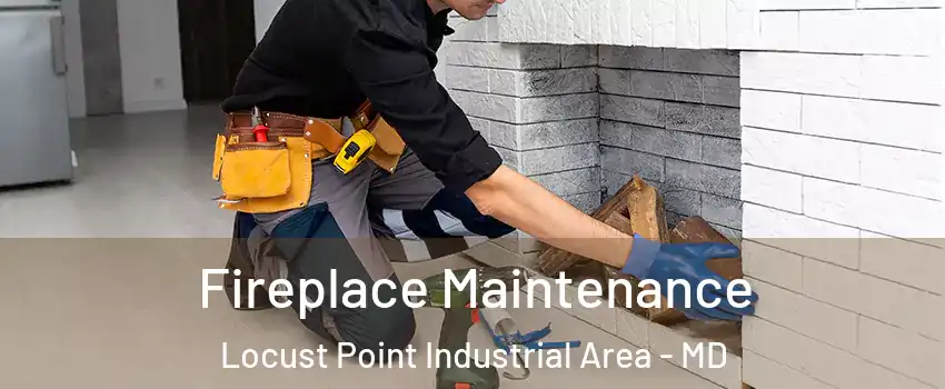 Fireplace Maintenance Locust Point Industrial Area - MD