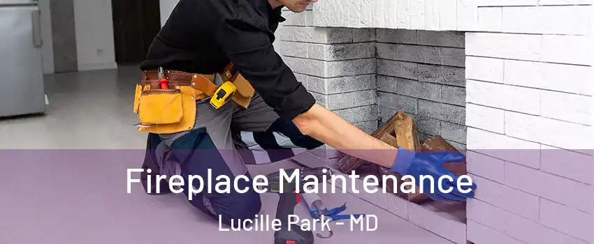 Fireplace Maintenance Lucille Park - MD