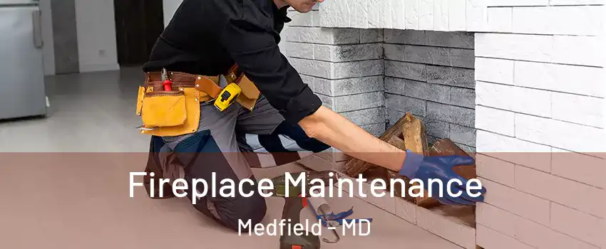 Fireplace Maintenance Medfield - MD