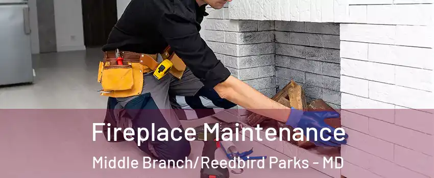 Fireplace Maintenance Middle Branch/Reedbird Parks - MD