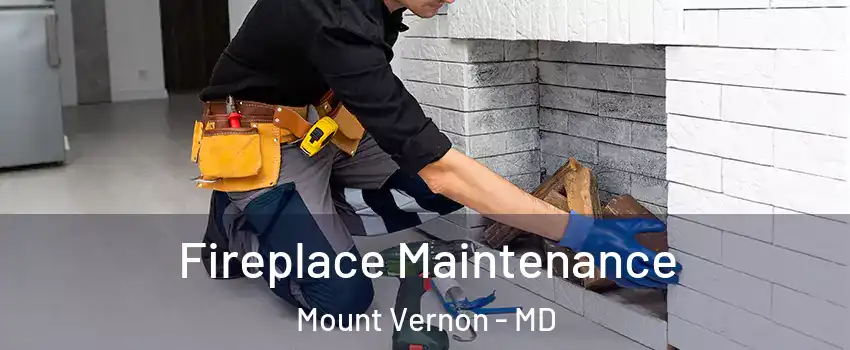 Fireplace Maintenance Mount Vernon - MD