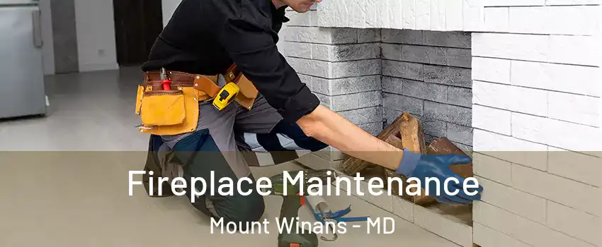 Fireplace Maintenance Mount Winans - MD
