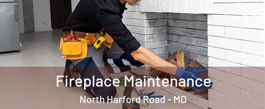 Fireplace Maintenance North Harford Road - MD