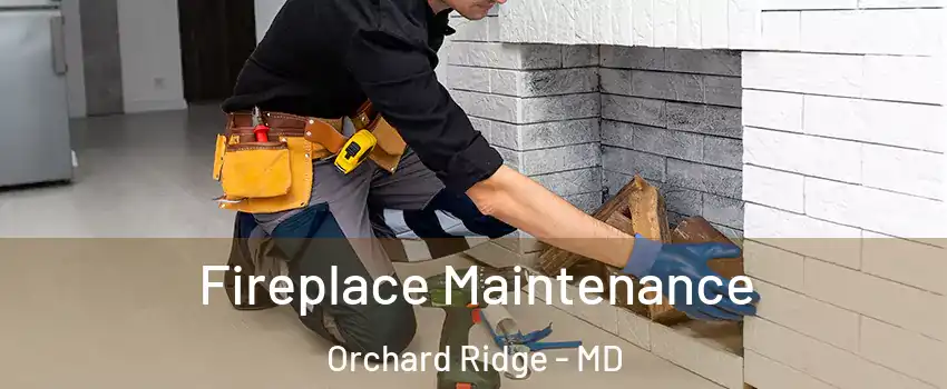 Fireplace Maintenance Orchard Ridge - MD