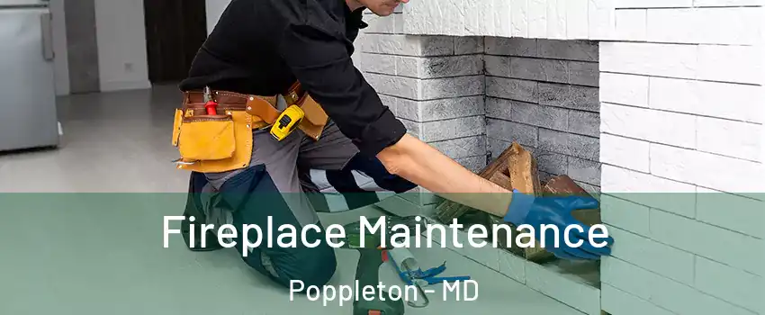 Fireplace Maintenance Poppleton - MD