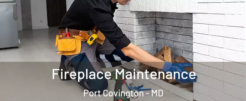 Fireplace Maintenance Port Covington - MD