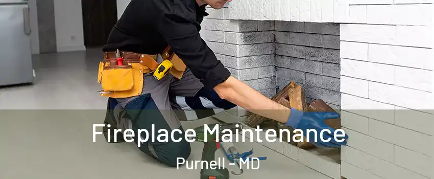 Fireplace Maintenance Purnell - MD