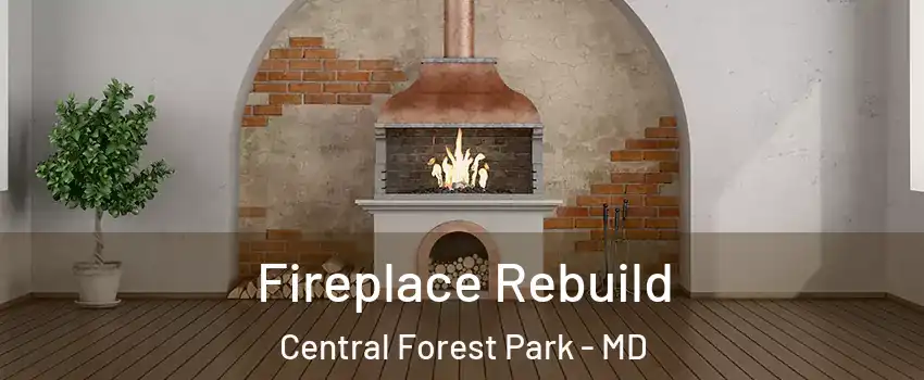 Fireplace Rebuild Central Forest Park - MD