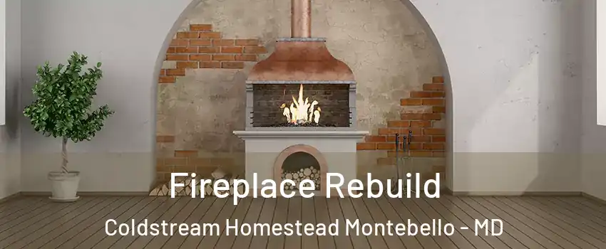 Fireplace Rebuild Coldstream Homestead Montebello - MD