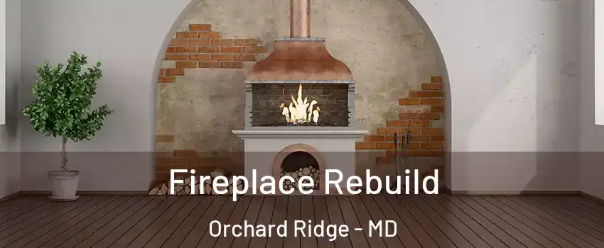 Fireplace Rebuild Orchard Ridge - MD