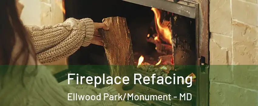 Fireplace Refacing Ellwood Park/Monument - MD