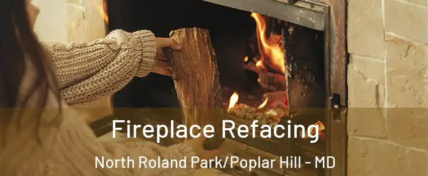 Fireplace Refacing North Roland Park/Poplar Hill - MD