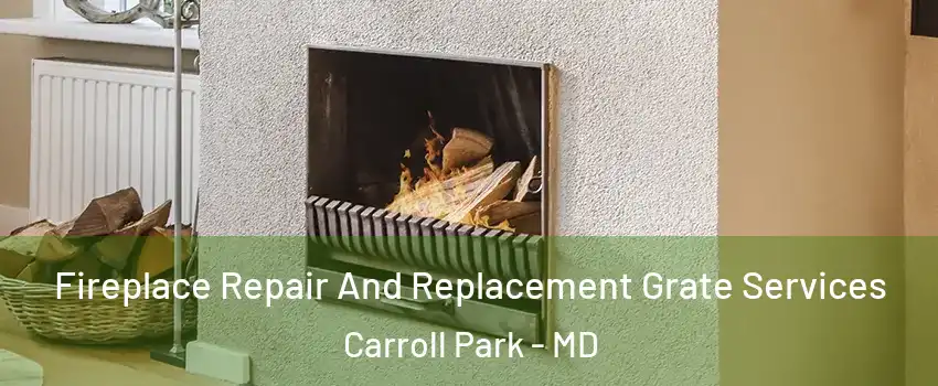 Fireplace Repair And Replacement Grate Services Carroll Park - MD