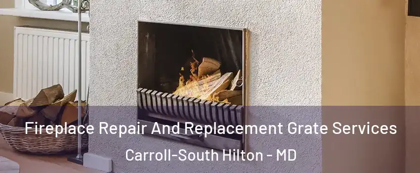 Fireplace Repair And Replacement Grate Services Carroll-South Hilton - MD