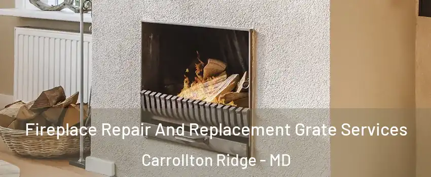Fireplace Repair And Replacement Grate Services Carrollton Ridge - MD