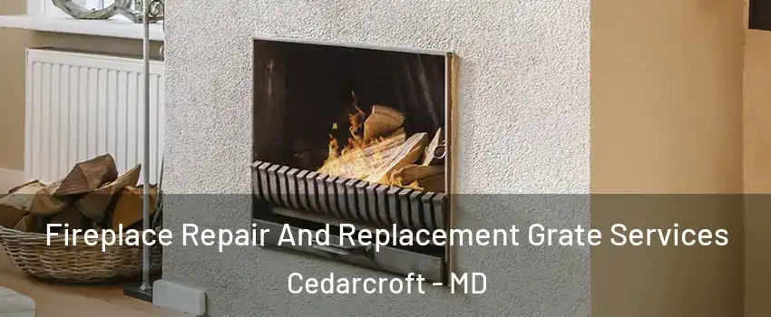 Fireplace Repair And Replacement Grate Services Cedarcroft - MD