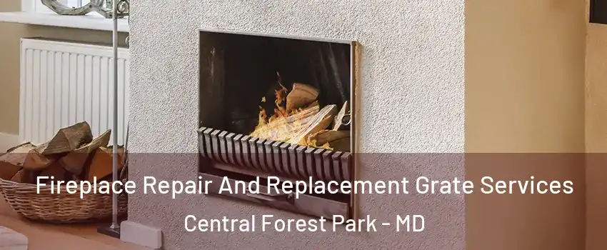 Fireplace Repair And Replacement Grate Services Central Forest Park - MD