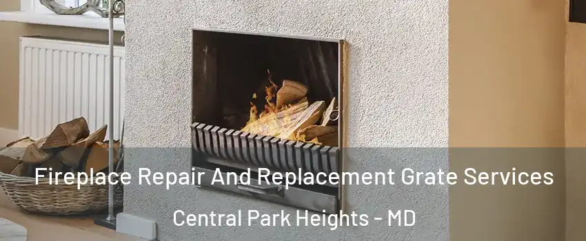 Fireplace Repair And Replacement Grate Services Central Park Heights - MD