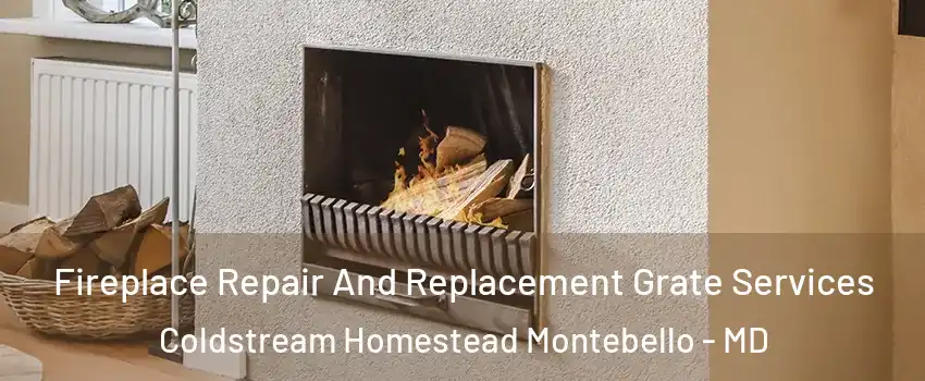 Fireplace Repair And Replacement Grate Services Coldstream Homestead Montebello - MD