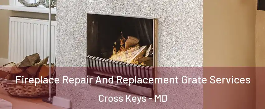Fireplace Repair And Replacement Grate Services Cross Keys - MD