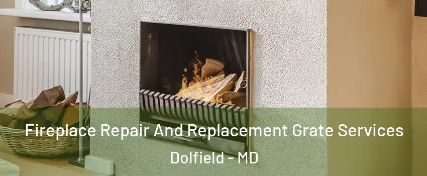 Fireplace Repair And Replacement Grate Services Dolfield - MD