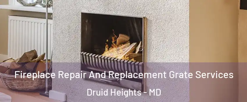 Fireplace Repair And Replacement Grate Services Druid Heights - MD