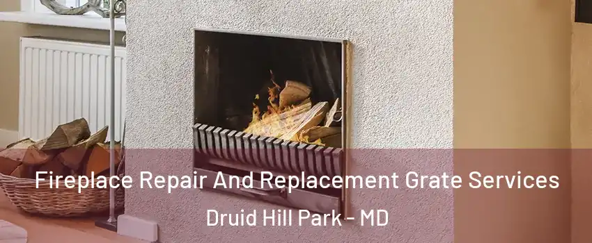 Fireplace Repair And Replacement Grate Services Druid Hill Park - MD