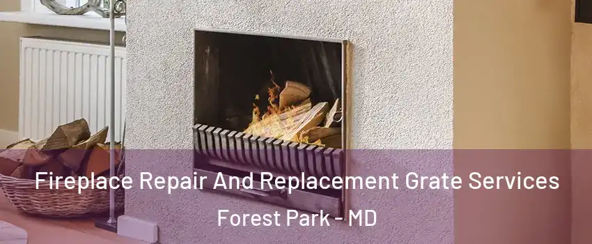 Fireplace Repair And Replacement Grate Services Forest Park - MD