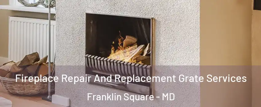 Fireplace Repair And Replacement Grate Services Franklin Square - MD