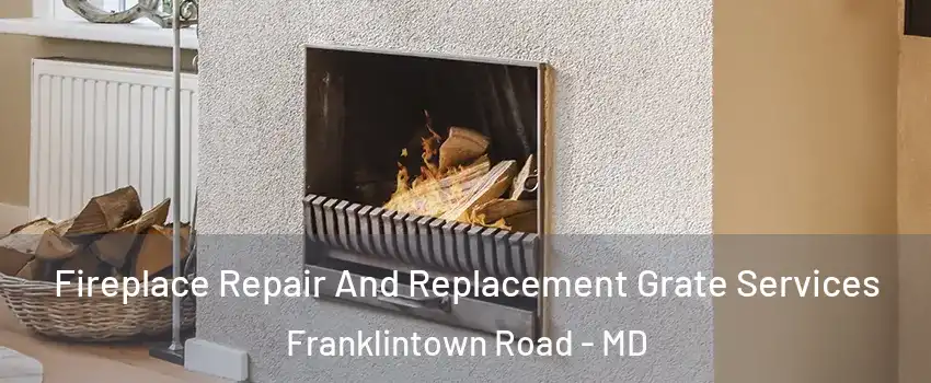 Fireplace Repair And Replacement Grate Services Franklintown Road - MD