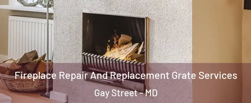 Fireplace Repair And Replacement Grate Services Gay Street - MD
