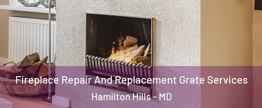 Fireplace Repair And Replacement Grate Services Hamilton Hills - MD