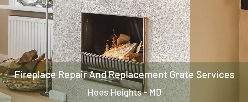 Fireplace Repair And Replacement Grate Services Hoes Heights - MD