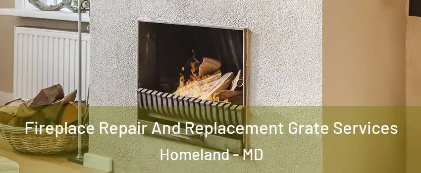 Fireplace Repair And Replacement Grate Services Homeland - MD
