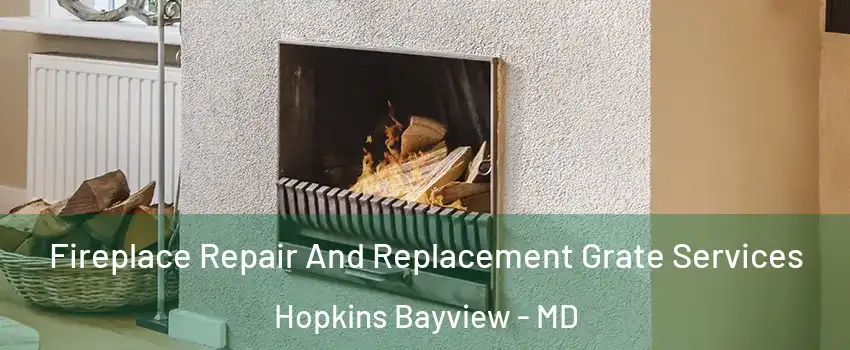 Fireplace Repair And Replacement Grate Services Hopkins Bayview - MD