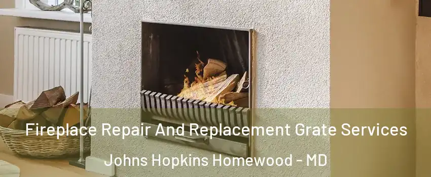 Fireplace Repair And Replacement Grate Services Johns Hopkins Homewood - MD