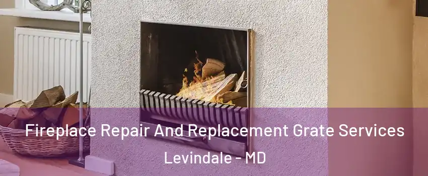 Fireplace Repair And Replacement Grate Services Levindale - MD