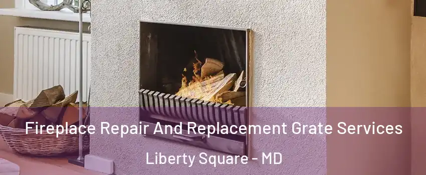 Fireplace Repair And Replacement Grate Services Liberty Square - MD