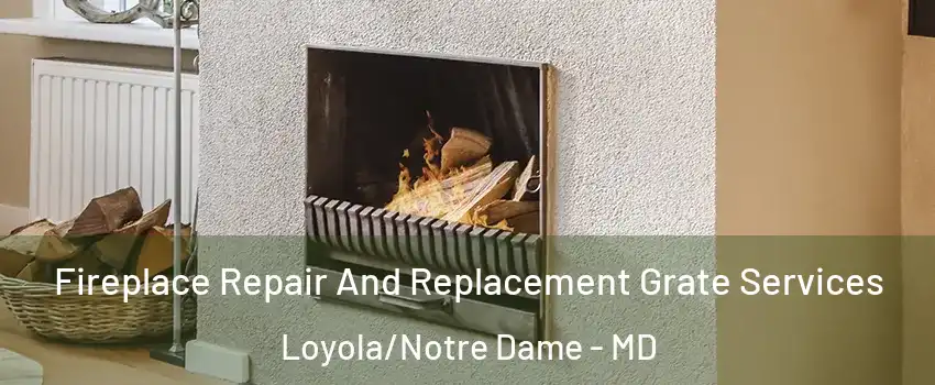 Fireplace Repair And Replacement Grate Services Loyola/Notre Dame - MD