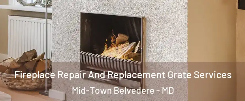Fireplace Repair And Replacement Grate Services Mid-Town Belvedere - MD