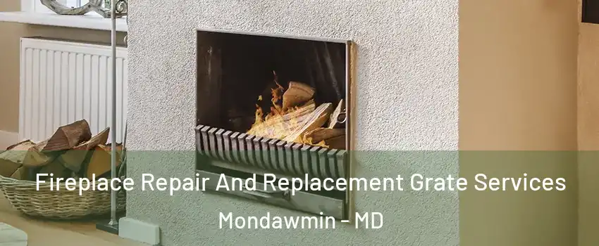 Fireplace Repair And Replacement Grate Services Mondawmin - MD