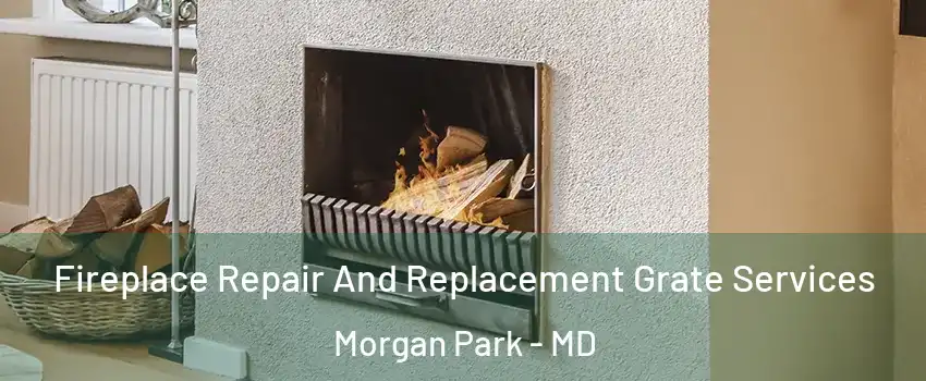 Fireplace Repair And Replacement Grate Services Morgan Park - MD