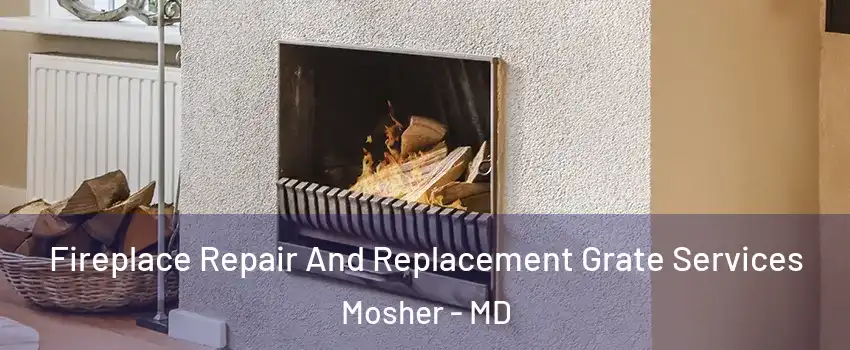 Fireplace Repair And Replacement Grate Services Mosher - MD