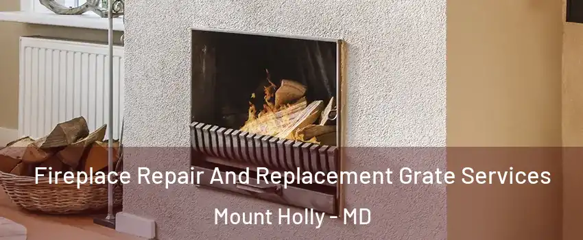 Fireplace Repair And Replacement Grate Services Mount Holly - MD