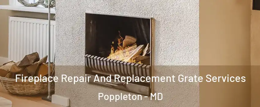Fireplace Repair And Replacement Grate Services Poppleton - MD