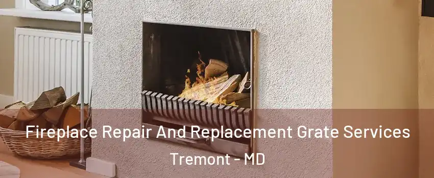 Fireplace Repair And Replacement Grate Services Tremont - MD