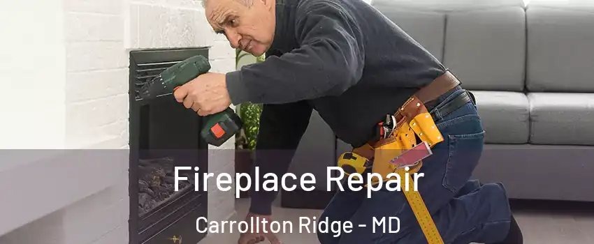 Fireplace Repair Carrollton Ridge - MD