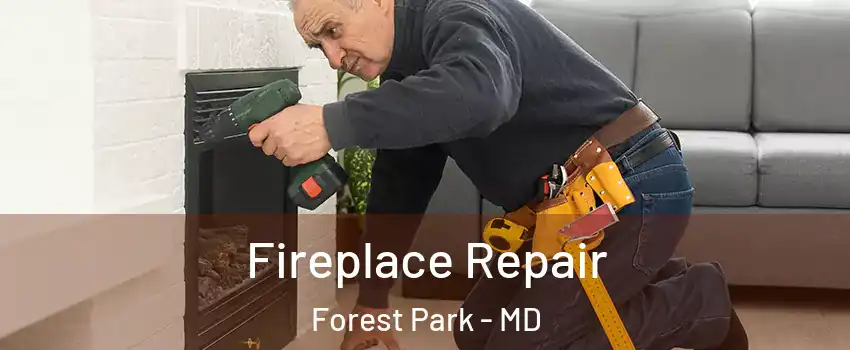 Fireplace Repair Forest Park - MD