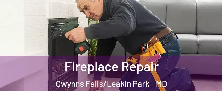 Fireplace Repair Gwynns Falls/Leakin Park - MD