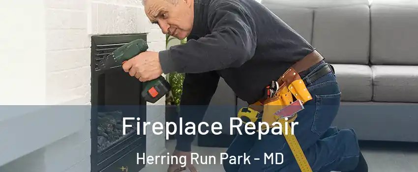Fireplace Repair Herring Run Park - MD